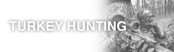 Turkey Hunting Tips Turkey Hunting Tips