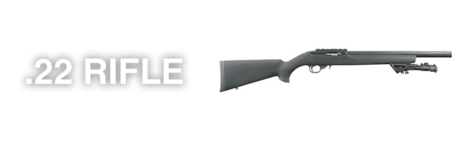 22 rifles for sale