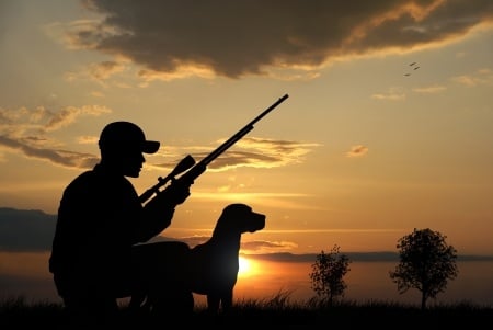 6 Reasons You Should Own a Ruger 10/22