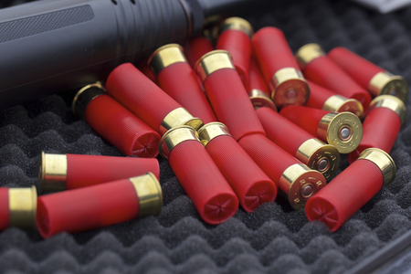 shotgun ammo for Mossberg 500