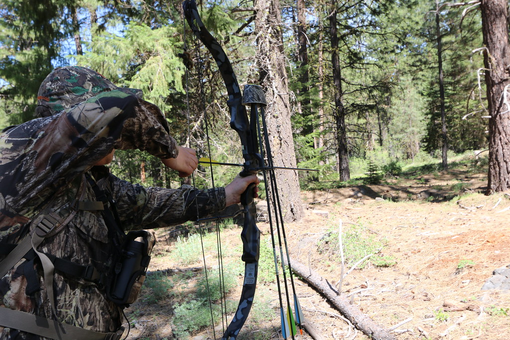 deer hunting essentials: bow hunting