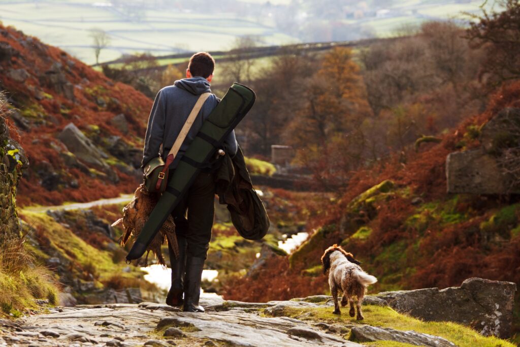 man-wilderness-walking-mountain-bird-hiking-1259772-pxhere.com_-1 ...