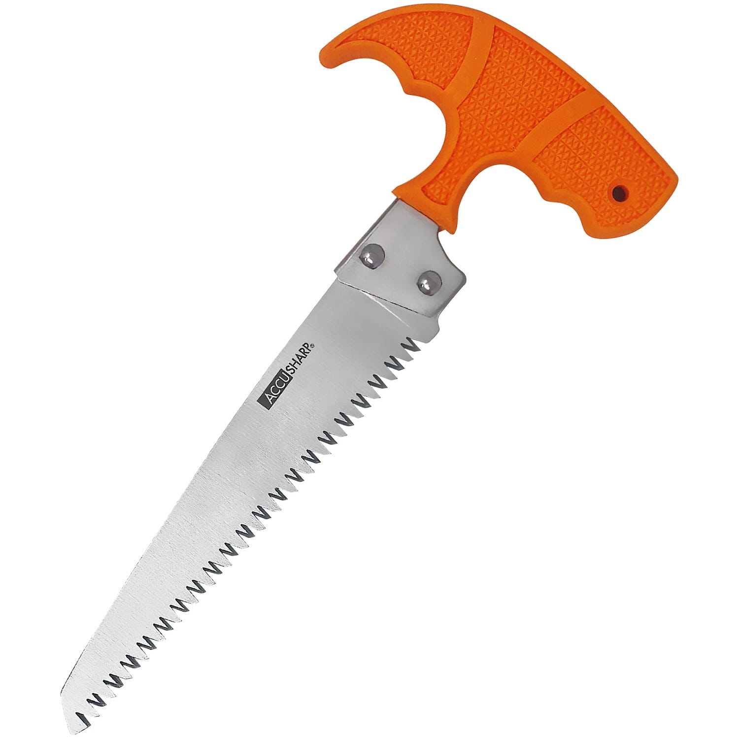 AccuSharp Bone Saw Blaze Orange 6 Fixed Serrated Stainless Blade - AccuSharp