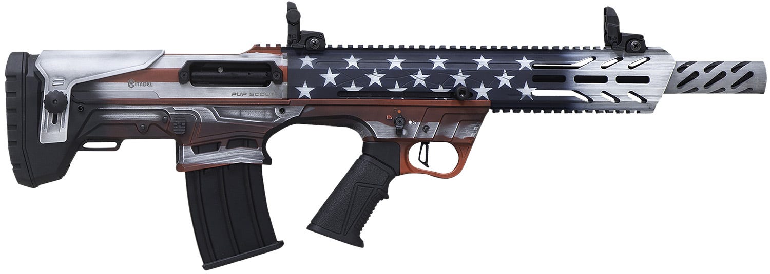 Howa Pup Scout USA American Flag 12 GA-3 18.5 Barrel 5-Rounds - Citadel