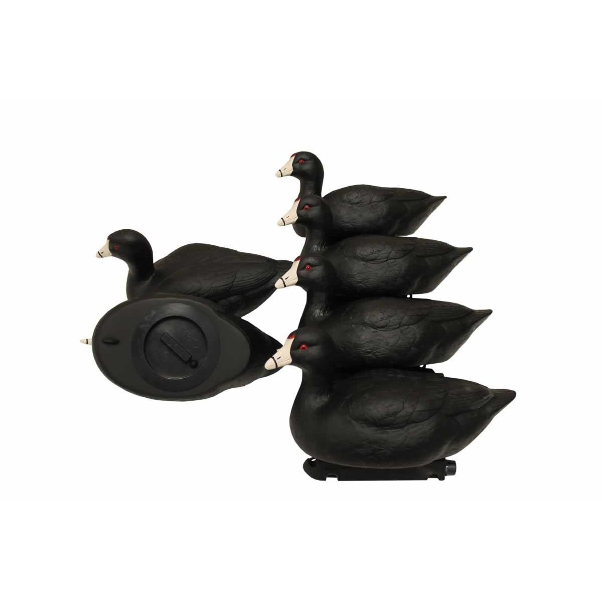 Mojo Coot Confidence Decoy 6-Pack