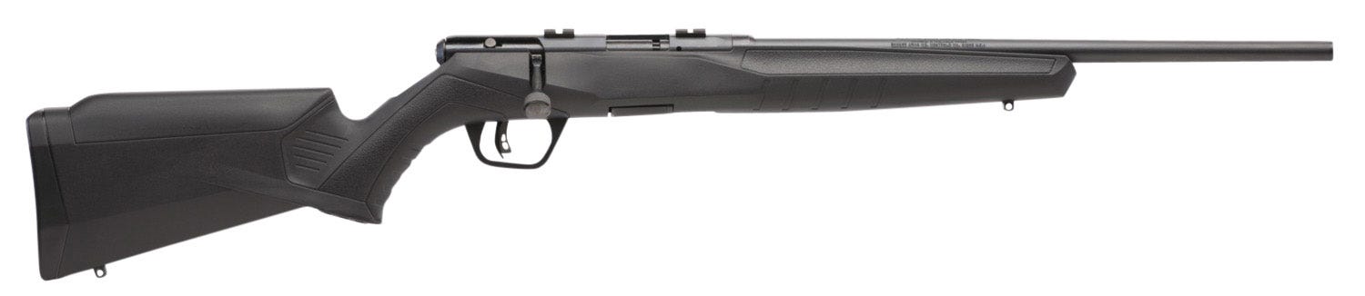 savage b22 compact blued .22 lr 18-inch 10rds accutrigger