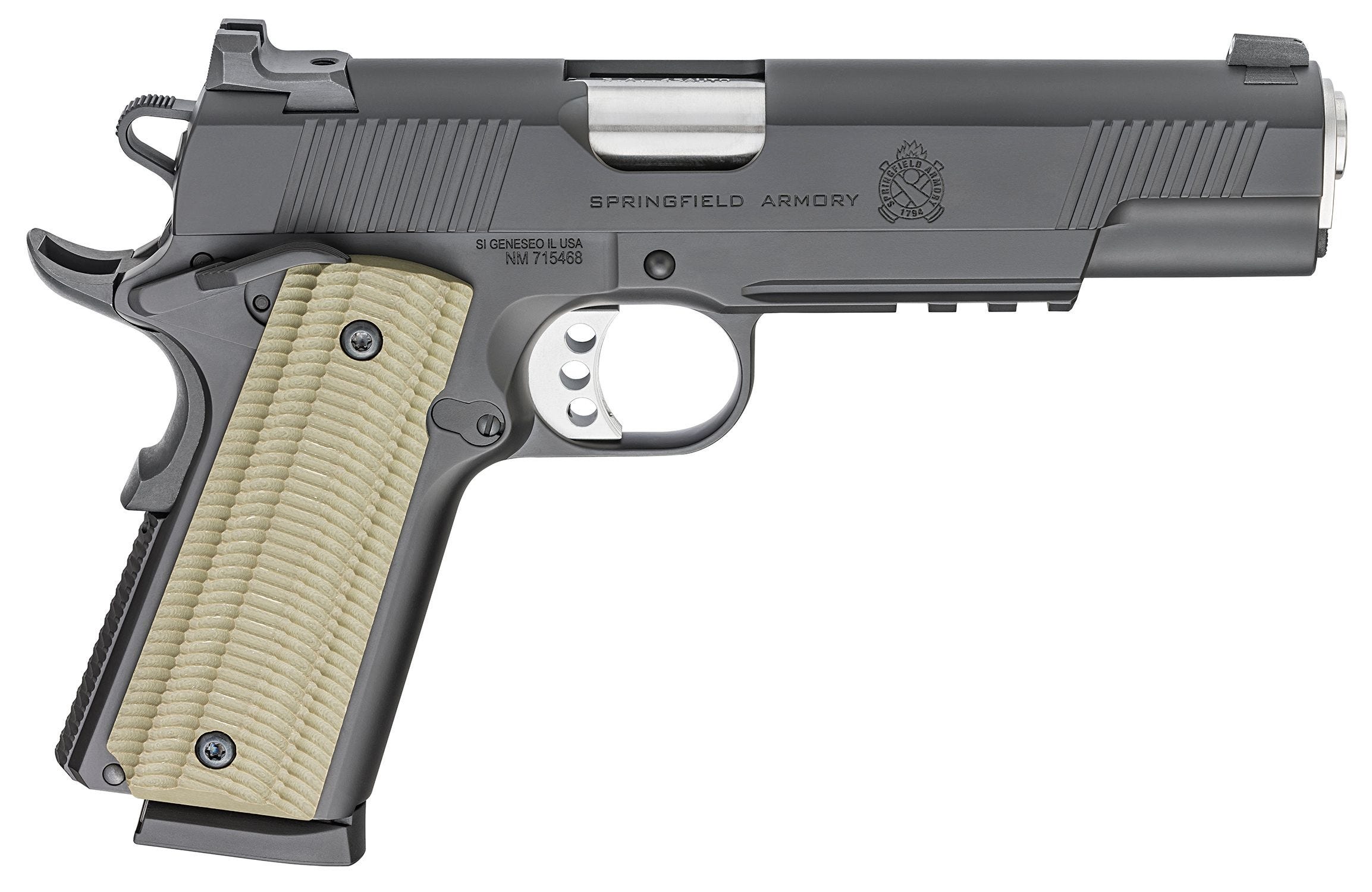 Springfield Armory NM 30689 ガスガン？ Springfield Armory NM 30689 ガスガン？